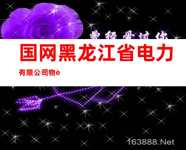 国网黑龙江省电力有限公司物资公司