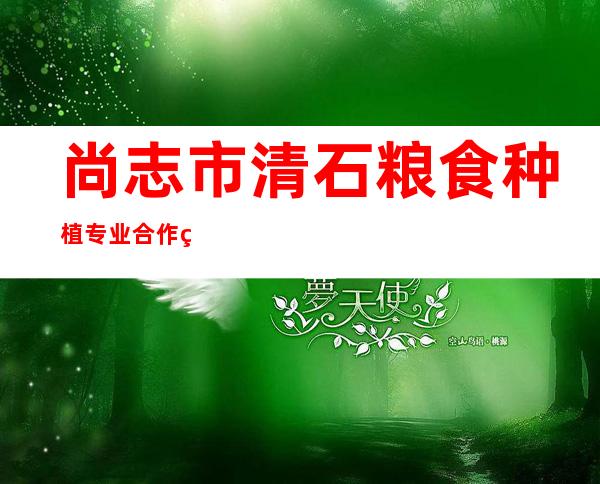 尚志市清石粮食种植专业合作社
