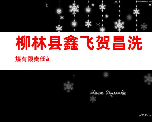 柳林县鑫飞贺昌洗煤有限责任公司