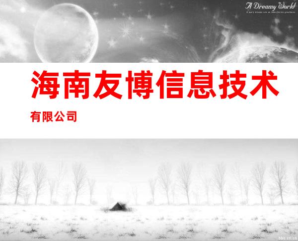 海南友博信息技术有限公司