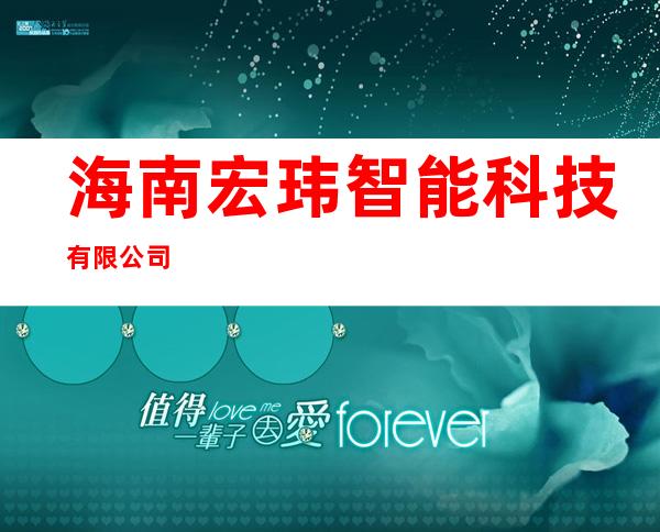 海南宏玮智能科技有限公司